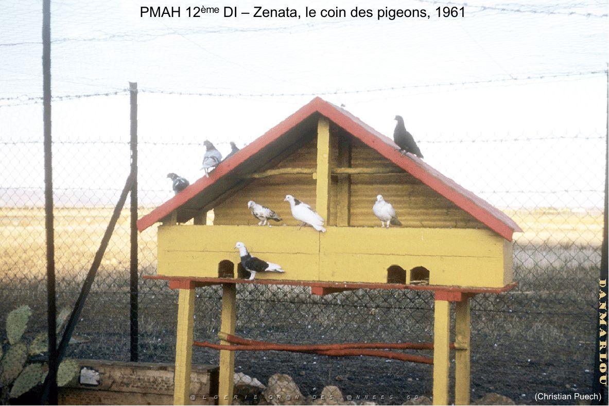 216 ALAT 11 (30).jpg
